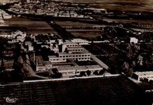 Jardins de l'hôpital-hospice de Sidi-bel-Abbès, noir et blanc