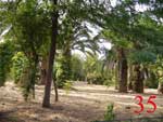 Jardin public. Cliquez pour agrandir