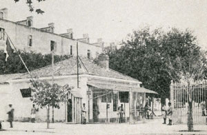 trée du quartier Viénot